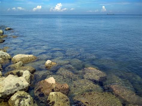 Beautiful Beach With Coral At Summertime Centre Point Makassar South