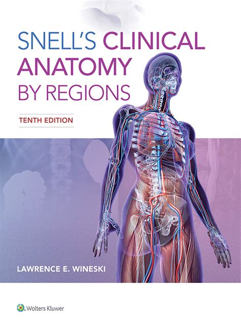 Snells Clinical Anatomy By Regions 10th Edition Vasiliadis Medical