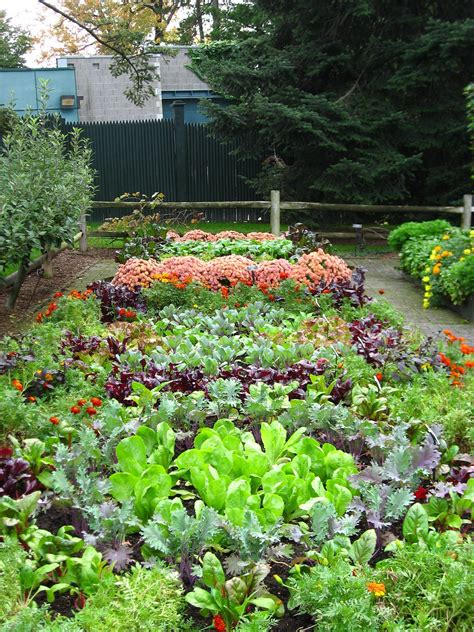 24 Marvelous Fall Container Garden Ideas For Garden Inspiration Fall Garden Vegetables Garden