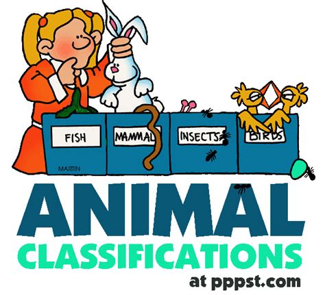 Scientific Classification Clipart 20 Free Cliparts Download Images On Clipground 2024