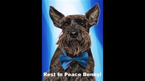 Rest In Peace Benny With Heavy Hearts We Say Goodbye To Our First