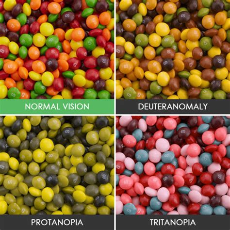 Take A Look At The World The Way Colorblind People See It 40 Pics