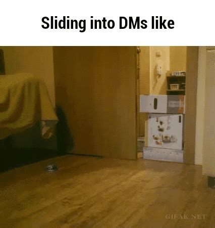 Dm Gif Find Share On Giphy