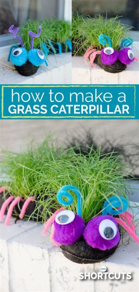 Here's how to make one. How to Make a Grass Caterpillar For Your Garden - A Few Shortcuts