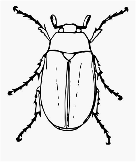 Clipart Black And White Bug Art Bugs Embroidery