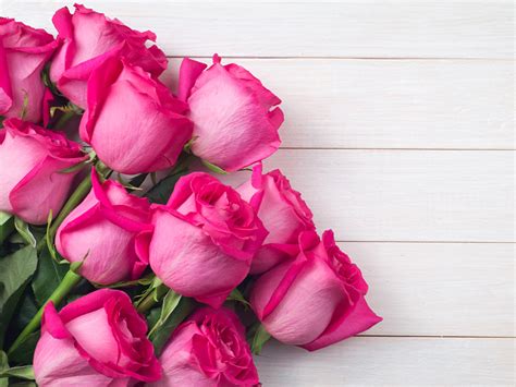 Fondos De Pantalla Rosas De Cerca Tablones De Madera Rosa Color Flores