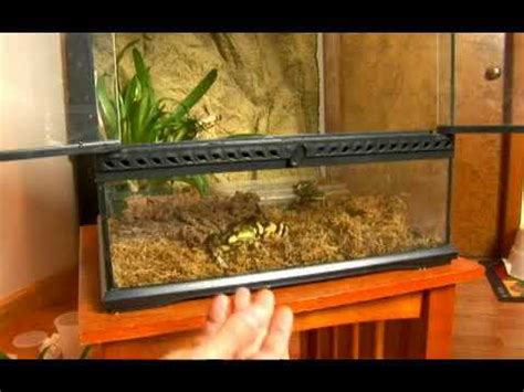 How To Make A Habitat For Tiger Salamanders YouTube