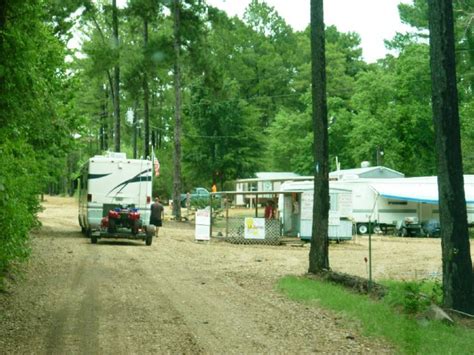 Forest Hill Louisiana Dunes Inc Photo Picture Image