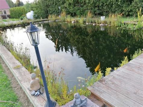 Ein gartenteich mit bachlauf natürlich! Gartenteich gestalten: Vom Standort über Teichtechnik bis ...