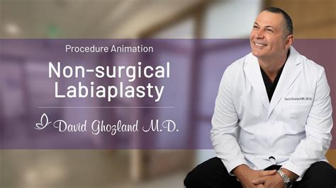 Non Surgical Labiaplasty Procedure Animation David Ghozland M D