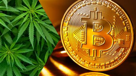 Cannabis Investing Cryptocurrency Or Cannabis Cannapreneur Partners