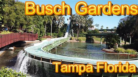 Busch gardens tampa bay admission ticket. Busch Gardens Tampa Florida 2020 - YouTube