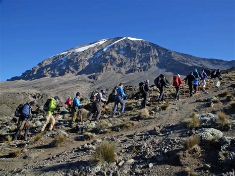 Climbing Kilimanjaro Cost Packages And Prices Cheap Climbs 2019 2020