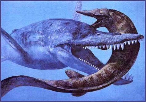 Sea animals that lived at the same time as dinosaurs. Dinosaurs,dinosaurs fossils,dinosaurs extinction,dinosaurs ...