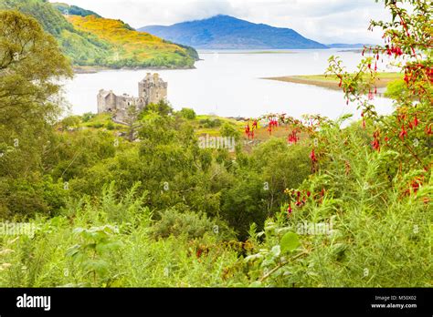 Eilean Donan Castle Panoramic View From Forest Stock Photo Alamy