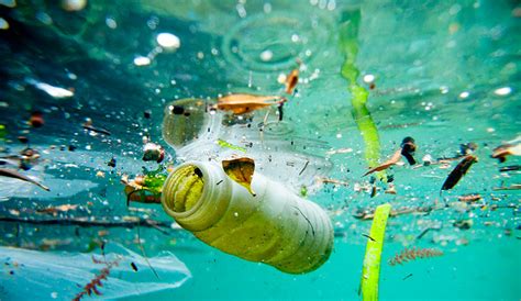 Study Shows 5 Countries Account For As Much As 60 Of Plastic Ocean