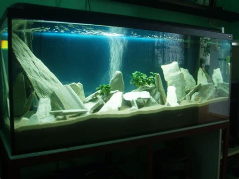 We did not find results for: 3kg NATURAL WHITE SLATE STONE FOR AN AQUARIUM VIVARIUM ...