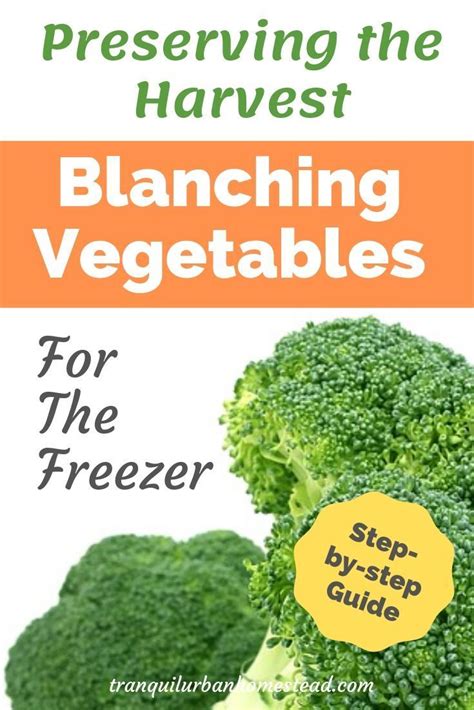 To prevent all of that zucchini needs to be blanched first before freezing it. Easy Step-By-Step Guide to Blanching Vegetables For ...