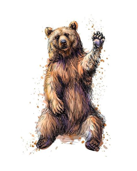 Waving Bear Waterslide Decal Etsy Bear Paintings Grizzly Bear