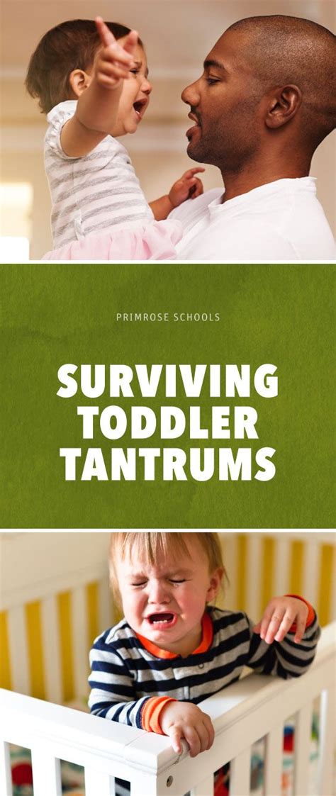 Surviving Toddler Tantrums Primrose Schools In 2022 Tantrums