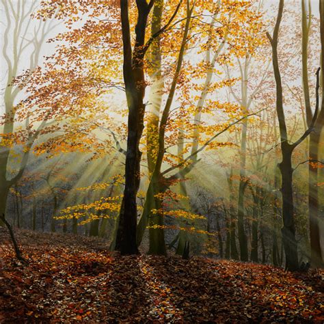 Misty Morning Original Oil Painting Michael James Smith
