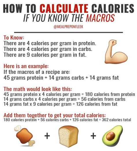 Everything You Need To Know About Macros Macro Nutrition Nutrition