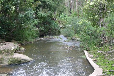 Epping To Pennant Hills Station Lane Cove River Hike 84km Lane