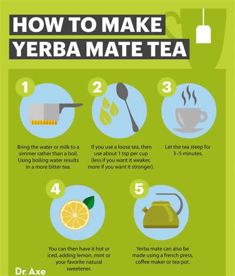 Yerba Mate Benefits How To Make And Side Effects Dr Axe