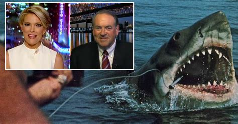 Although using dogs for detection of afb was not new, mr giggins believes it is the first time a dog of missy's breed had been trained for the task. A US governor used the film 'Jaws' as an analogy for the ...