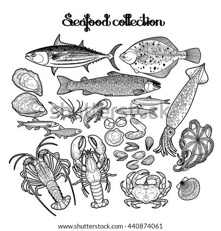 These free printable ocean coloring pages online will provide a sense of adventure for your kid. Salmon Food Coloring Coloring Pages