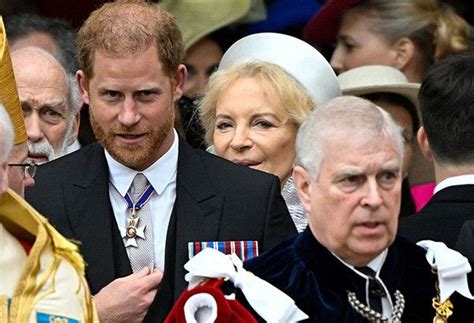 Princes Harry Andrew Benched On Third Row At Coronation