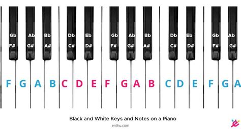 How To Label Piano Keys Pictures Included Enthuziastic