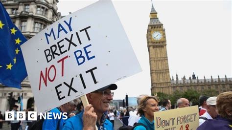 Brexit Protest March For Europe Rallies Held Across Uk Bbc News