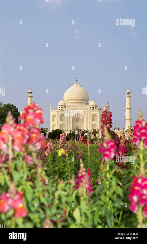 Taj Mahal Flowers Stock Photo Alamy
