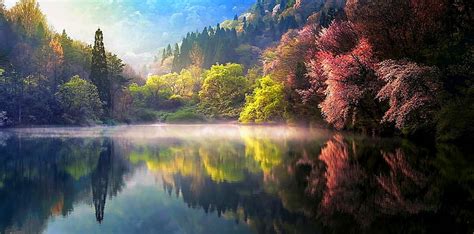 Hd Wallpaper Nature Spring Sunrise Mist Lake Reflection Forest