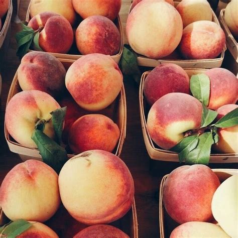 Aesthetic Fruit Indie Peach Peaches Image 3583498 By Helena888