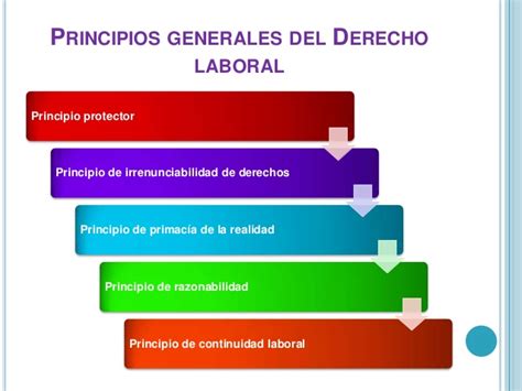 legislaciÓn laboral yaneth quintero imagenes de los pricipios del derecho laboral en colombia
