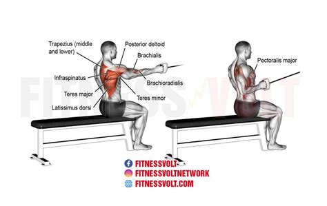 Single Arm Cable Row Guide To Form Benefits And Expert Tips