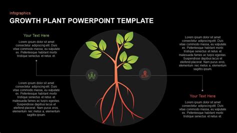 Plant Growth Stages Powerpoint And Keynote Template S