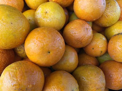 the jaffa orange minneopa orchards