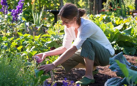 Screenshots/video it's what many of the pros use. GARDENING DOESN'T HAVE TO BE A PAIN IN THE NECK | Gibson ...