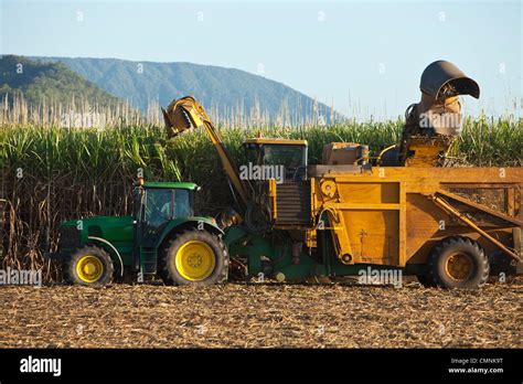 Sugar Cane Sugarcane Harvest Hi Res Stock Photography And Images Alamy