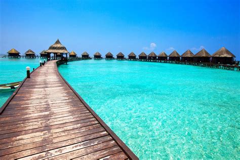 Und vielleicht ist eine reise ins paradies bereits im juli wieder möglich, allerdings unter auflagen. Malediven verlangen neu einen Corona-Test - TRAVEL INSIDE