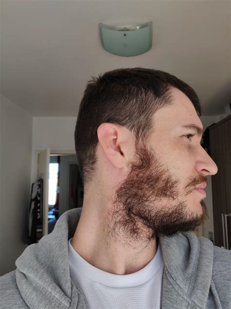 Hello Guys I Would Like To Know What You Guys Think Of This Beard