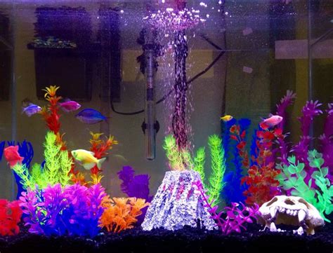 My Fully Stocked Glofish Tank Fish Aquarium Decorations Fish Tank