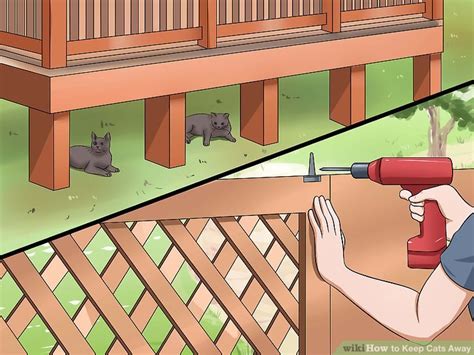 Building a porch of your own is an achievable weekend project for the ambitious diyer. How to Keep Cats Away: 9 Steps (with Pictures) - wikiHow