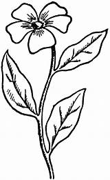 Select from 35915 printable coloring pages of cartoons, animals, nature, bible and many more. Simple Flower | ClipArt ETC