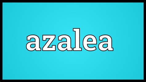 Or this is a family name & i wanna know if everyone will pronounce it like my great. Azalea Meaning - YouTube