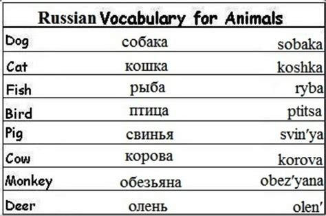 Basic Russian Russian Language Learning Russian Language Vocabulary