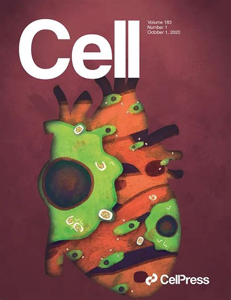 10月，有哪些研究登上了cell Press期刊封面？澎湃新闻 The Paper